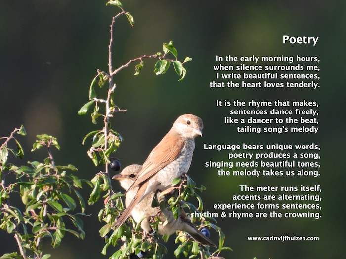 POETRY